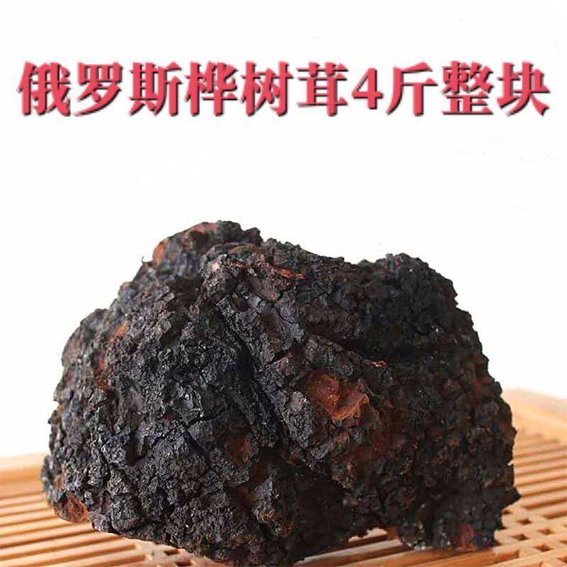 俄罗斯桦树茸野生白桦茸4斤整块正宗天然大块进口桦褐孔菌原块