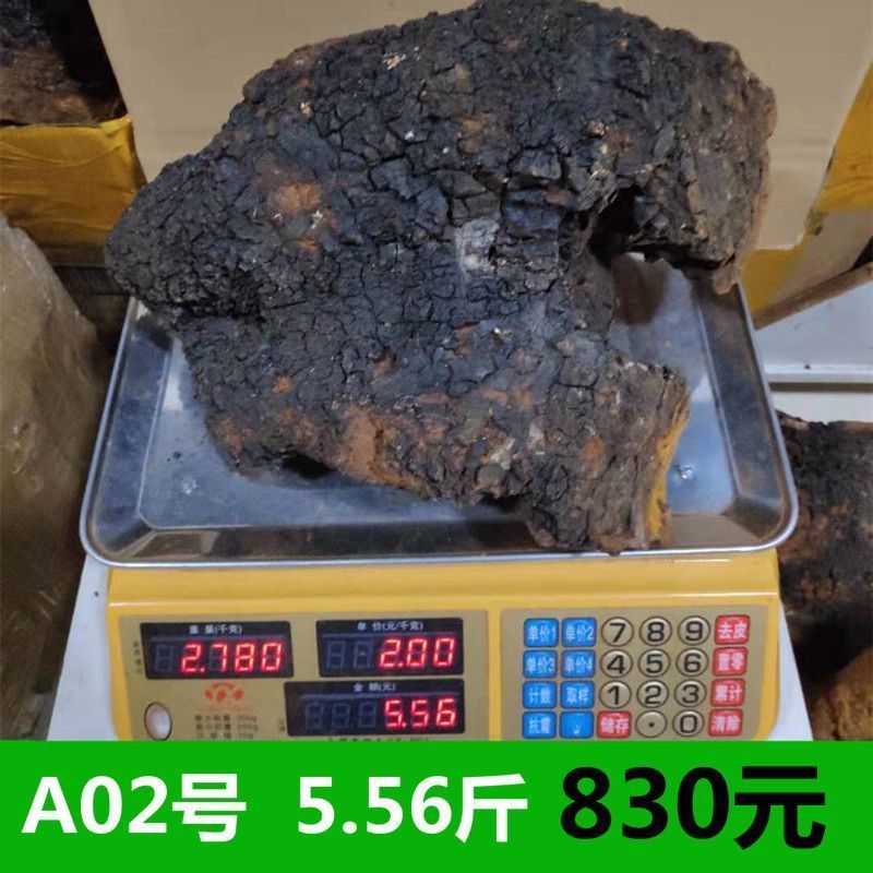 桦树茸整块桦树耳白桦白华茸白华蓉50茸茸斤耳茶桦树年5白桦龙