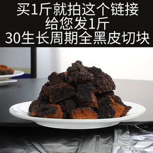 桦树茸黑金俄罗斯进口30年生长周期茶块块带黑皮切块天然野生