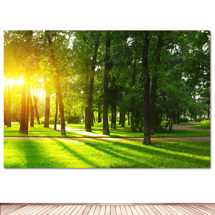 森林公园草地装饰画风景墙贴画树林阳光小路壁画自粘绿色书房挂画