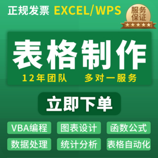 表格制作代做帮忙设计数据分析VBA宏函数图表整理统计Exce企业WPS
