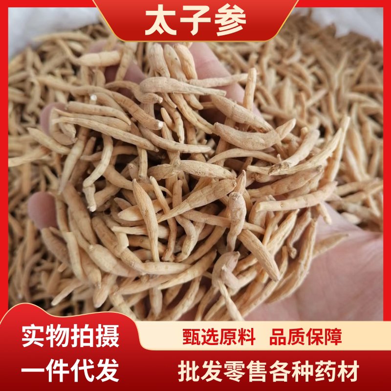 贵州太子参散装 孩儿参颗粒饱满规格齐全量大择优太子参泡水煲汤