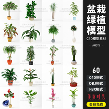 鲜花植物装饰摆件绿植花卉盆栽C4D模型fbx obj格式3d素材集AM075