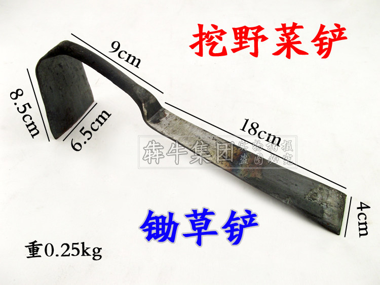 挖菜铲 两用小铲小锄头养花锄头种菜花园锄草松土翻地园艺工具,鲜花速递/花卉仿真/绿植园艺,铲子,淘宝优惠券,粉丝福利购,淘宝优惠卷