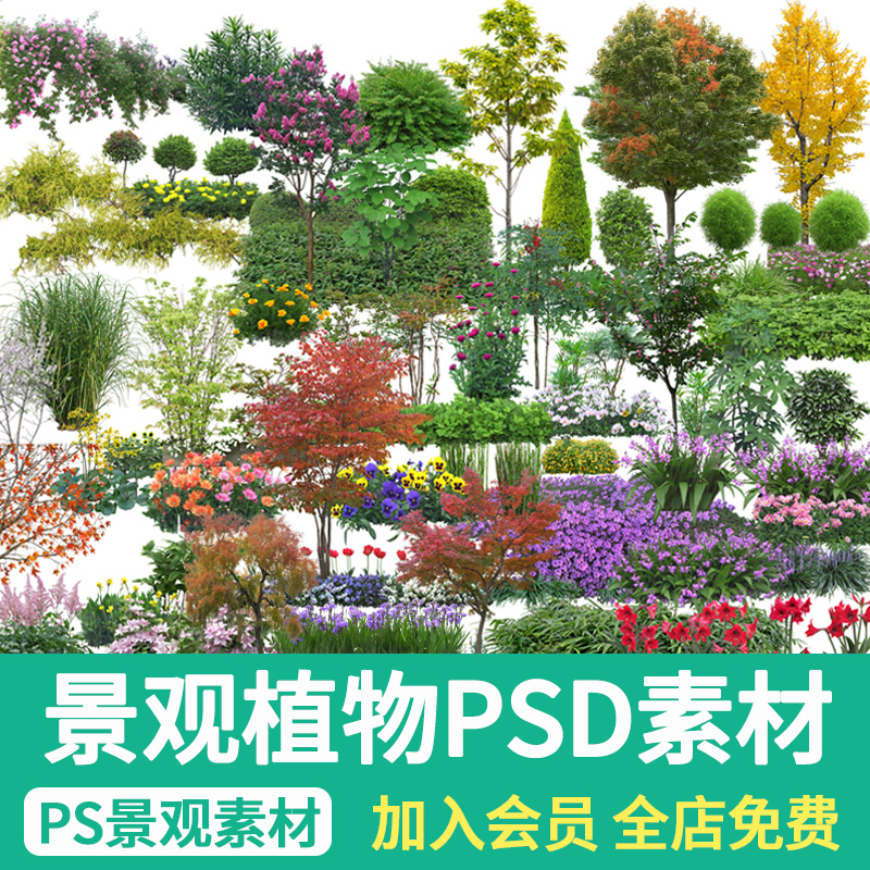 园林景观ps乔木灌木花坛花卉草花效果图后期psd花境植物配置素材