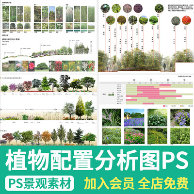 景观植物配置PSD分析图生态公园植被种植环艺搭配园林设计ps素材