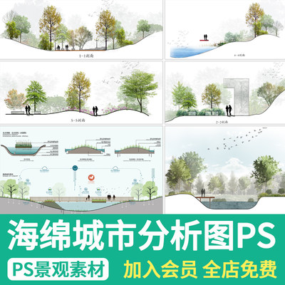 海绵城市分析图ps生态湿地雨水花园景观剖立面分析效果图psd素材