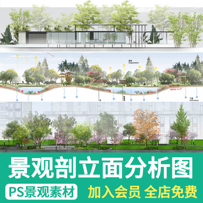 竞赛风建筑景观断面图海绵城市湿地剖面图立面树木分析图psd素材