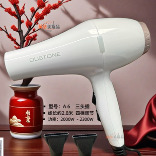 正品德力斯欧斯盾吹风机冷热风家用电吹风发廊2300专业美发吹风筒