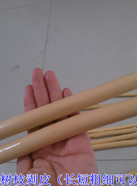 干树枝 树干 装饰树壮  枯木干枝艺术道具 天然原色本色去皮树枝