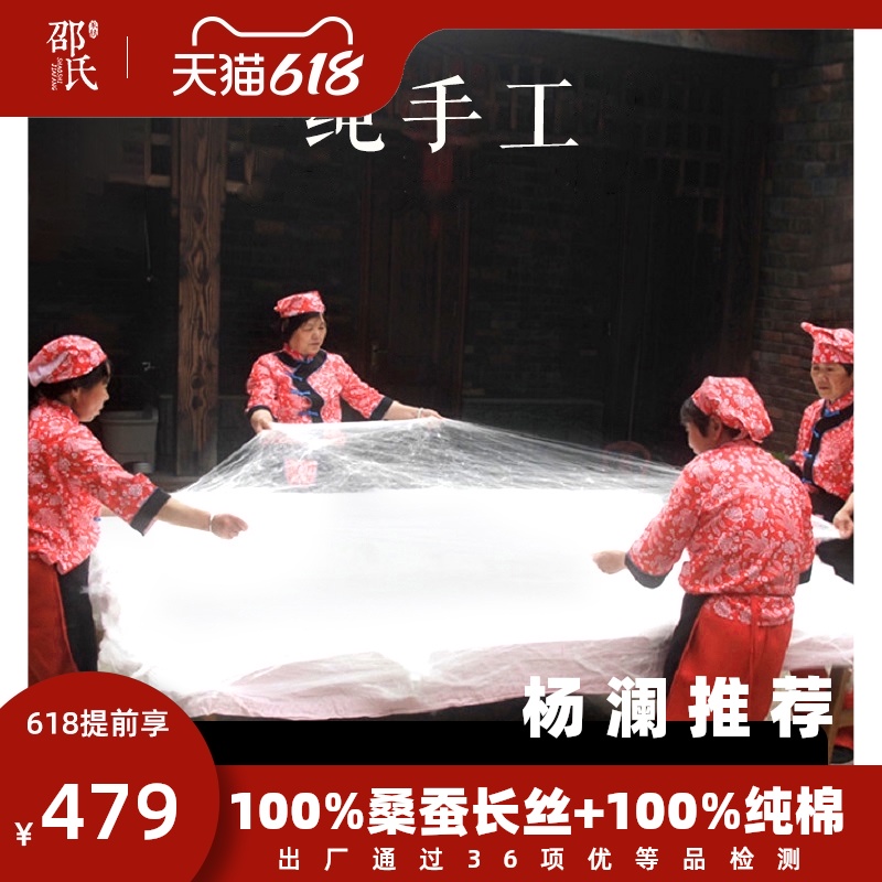 3纯手工 A类双宫茧蚕丝被100桑蚕丝长丝夏凉被春秋被子丝绵被正品