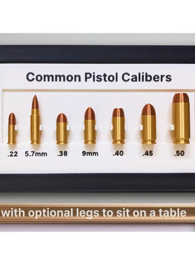 子弹模型相框步枪手枪散弹枪猎枪霰弹枪弹药模型非金属装饰3D打印