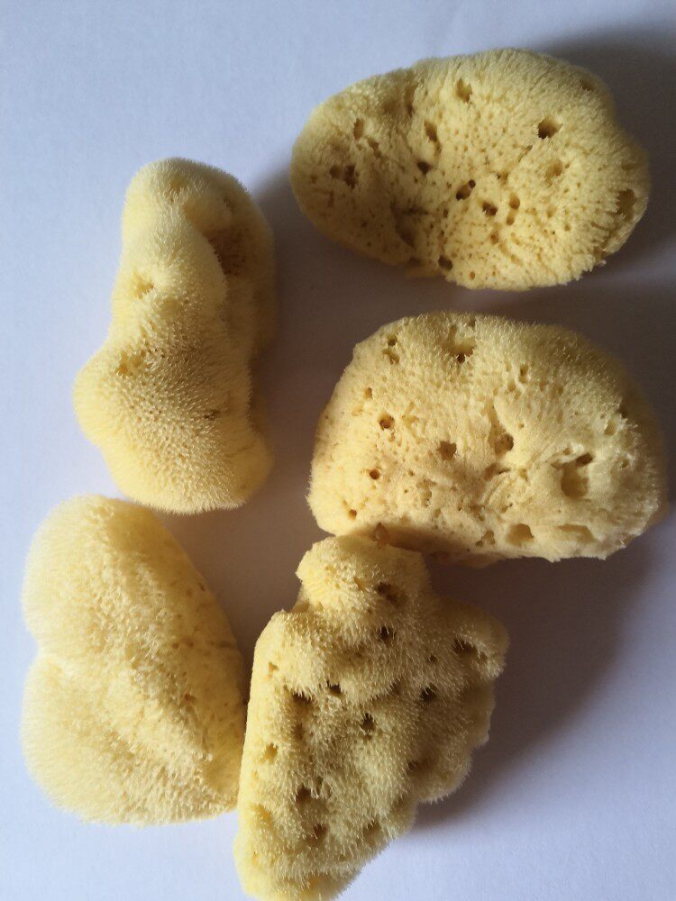 正品地中海进口丝海绵洗脸洗面膜 柔软细腻 丝海绵8—9厘米买1送1