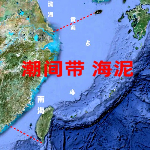 海底泥沉积物潮汐涧带实验海底沙