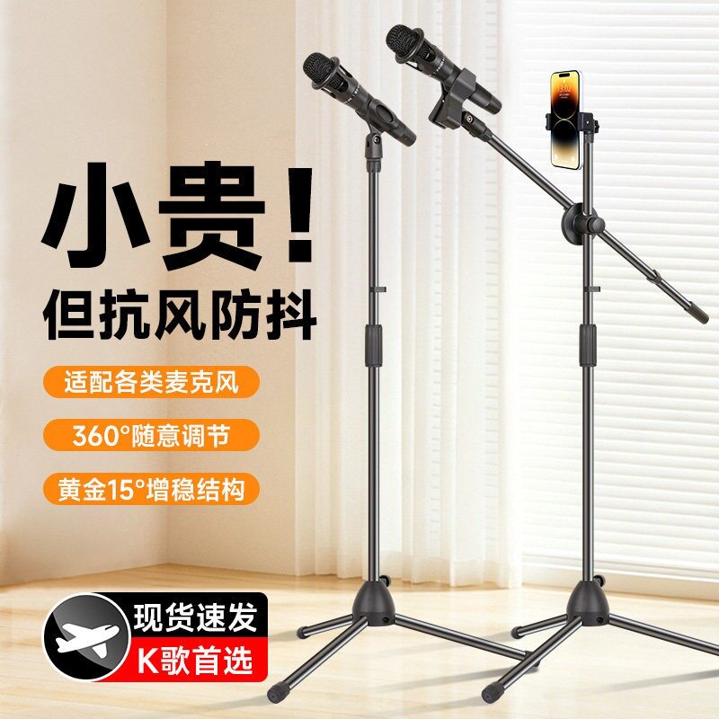 专业落地麦克风支架34