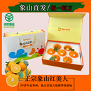 正宗象山红美人柑橘爱媛28号果冻橙橘子新鲜水果现摘现发送礼礼盒