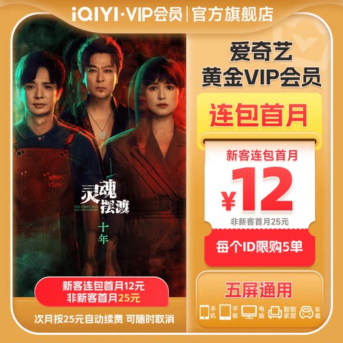 【连包月卡】爱奇艺黄金vip会员直充爱奇艺月卡 灵魂摆渡·十年