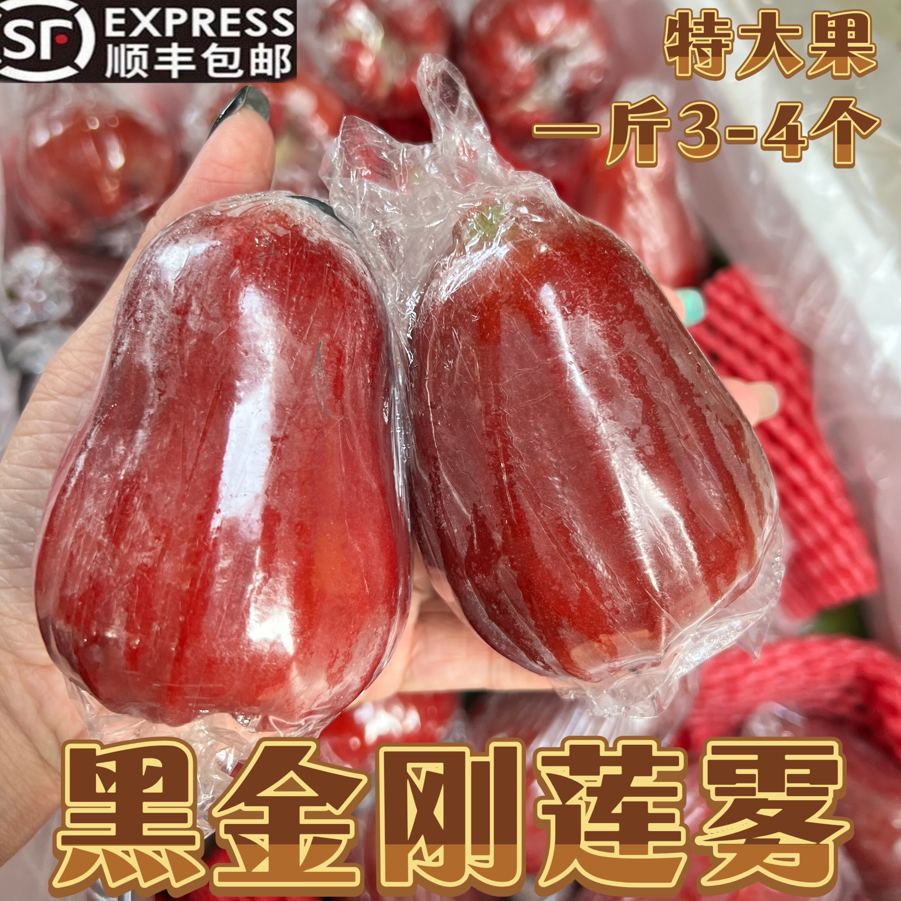 【顺丰包邮】正宗黑金刚莲雾特大果莲雾新鲜热带当季水果清甜多汁,水产肉类/新鲜蔬果/熟食,莲雾,淘宝优惠券,粉丝福利购,淘宝优惠卷