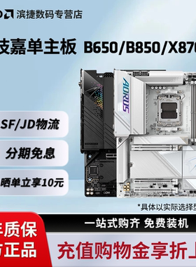 AMD技嘉AORUS B650M/B850M/X870E台式机电脑主板小雕冰雕电竞冰雕