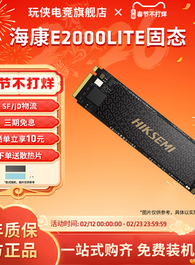 海康威视E2000LITE固态硬盘M.2接口NVME协议SSD256/512GB