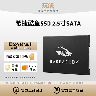 希捷酷鱼256G固态硬盘TLC颗粒