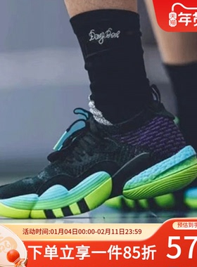 阿迪达斯男鞋秋季TRAE YOUNG 特雷杨2代缓震运动鞋篮球鞋H06473