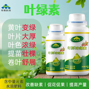 年辉叶绿素黄叶变绿大蒜黄叶病专用药柑橘果树蔬菜水溶肥叶面肥