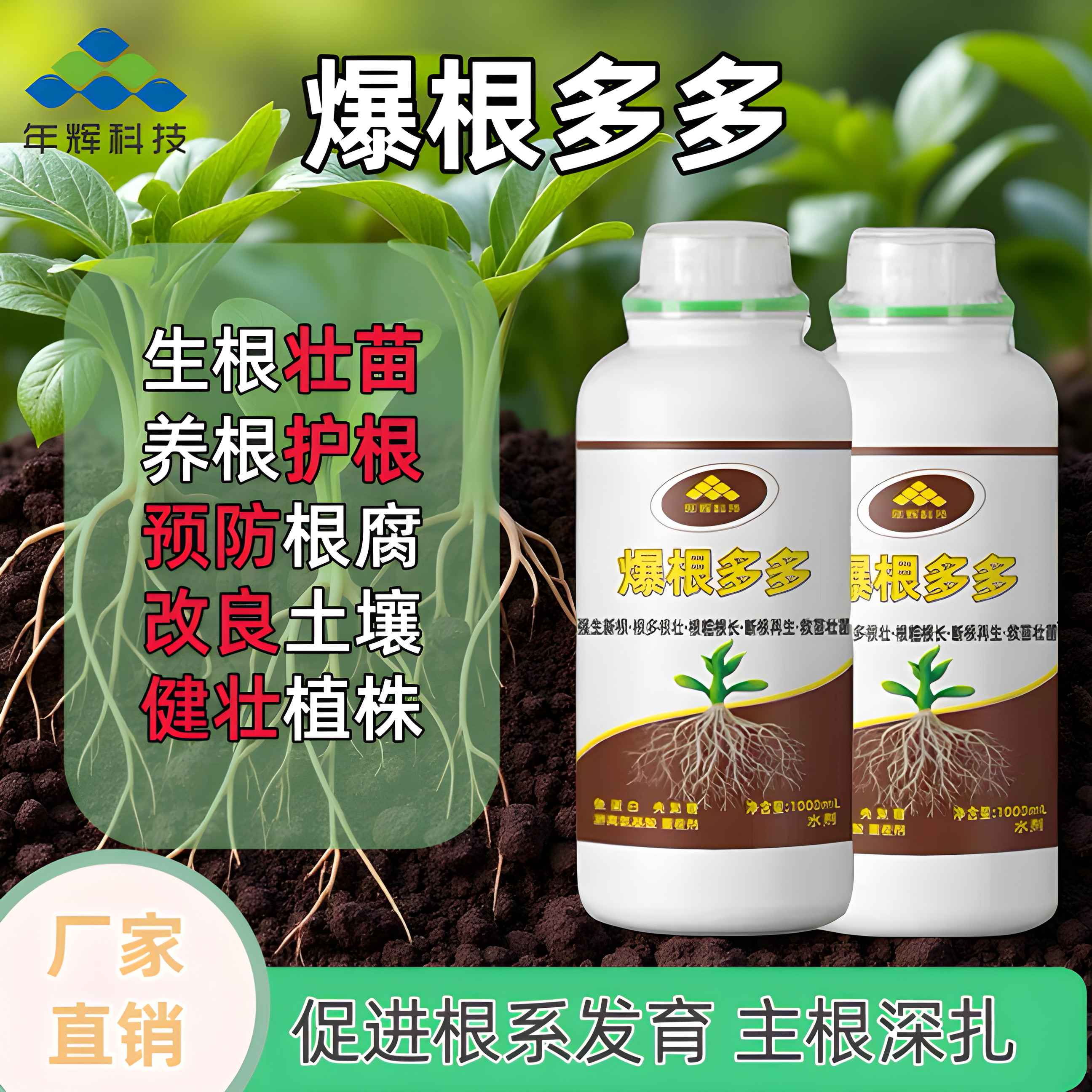 爆根多多升级版鱼蛋白强生新根