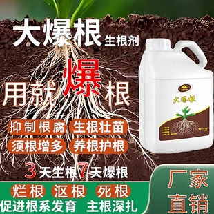 大爆根2.5kg升级版强生新根根多根旺根再生生根营养液年辉厂家