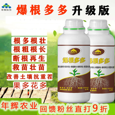 年辉科技—爆根多多鱼蛋白强生新根根多根旺根再生生根营养液