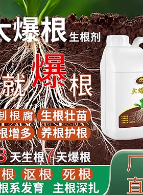 年辉科技大爆根生根剂升级版强生新根根多根旺根再生生根营养液