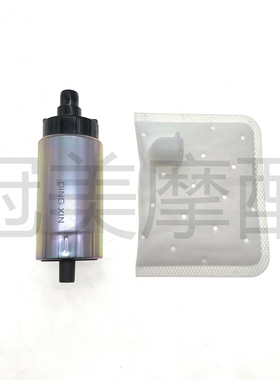 适用铃木极客飒GSX155FN 酷道GL150汽油泵芯  马达电机 过滤网