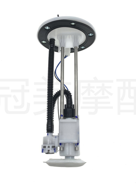 适用SYM三阳JOYMAX300 Z300 九妹Plus XS300T-3汽油泵 燃油泵总成