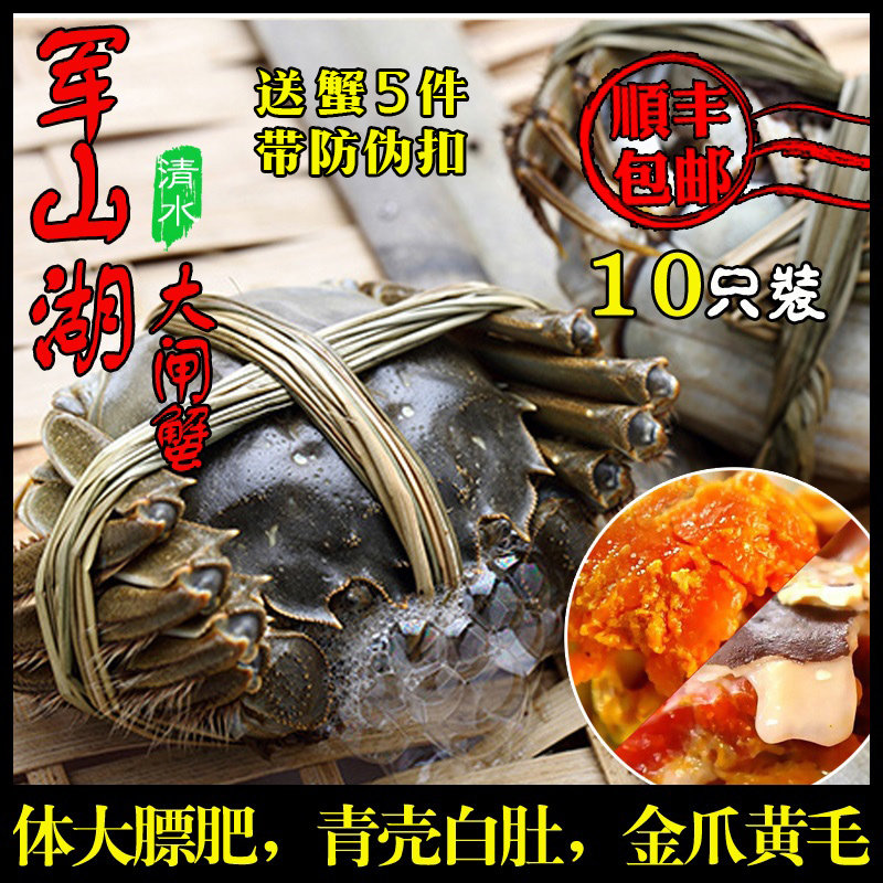 军山湖大闸蟹南昌螃蟹鲜活水产礼盒现货全母10只2-2.4两顺丰包邮