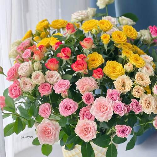 玫瑰组合 套餐 新人福利玫瑰套餐  拍1单发中通 2单升级快递