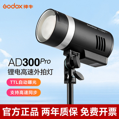 (Godox)神牛AD300PRO外拍闪光灯户外摄影灯1/8000S高速同步TTL自