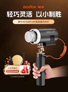Godox户外拍摄灯Ad300Pro户外闪光灯婚礼肖像摄影灯1/8000S高速同