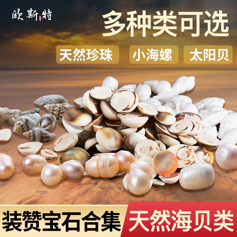彩色七宝石家居装饰品供曼扎八供宝瓶天然珍珠小海螺贝壳装饰宝石