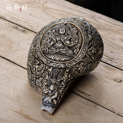 尼泊尔白海螺佛家左旋生物