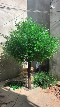仿真榕树假树大型绿植假树装饰室内大厅造景玻璃钢假树落地摆件