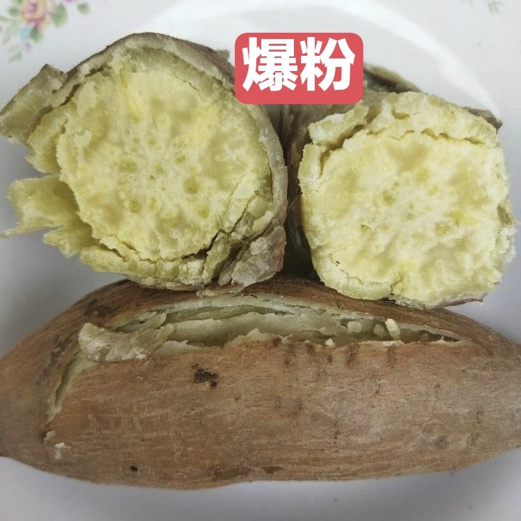 农家自种新鲜红薯板栗番薯爆粉甜山芋粉糯香甜地瓜白皮栗子爆皮王