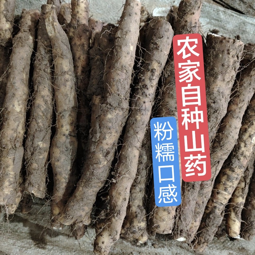 广东廉江农家自种有机肥山药新鲜现挖口感粉糯铁棍山药切断发货图片