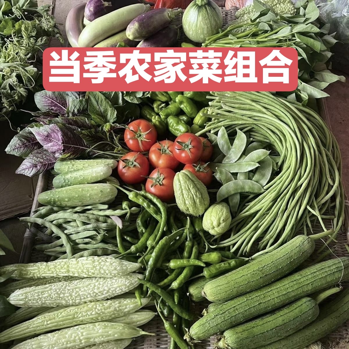 广东乡下自种当季农家菜新鲜应季菜组合绿叶菜辣椒蔬菜盲盒黄瓜菜