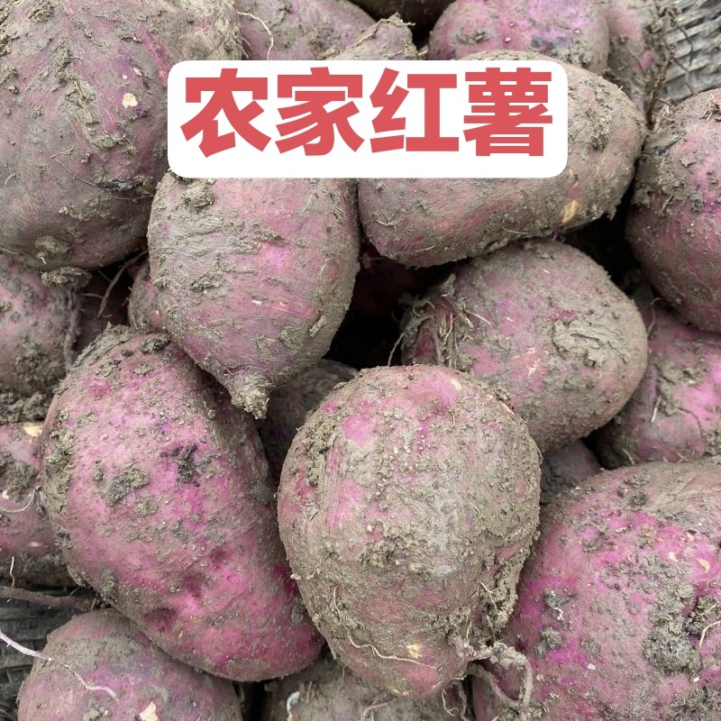农家自种番薯新鲜流蜜甜薯红皮山芋黄心红薯红心红薯烤地瓜糖心薯