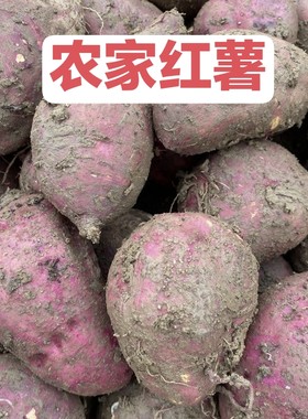 农家自种番薯新鲜流蜜甜薯红皮山芋黄心红薯红心红薯烤地瓜糖心薯