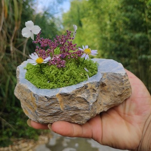 石头花盆创意花瓶多肉水培种植花器铜钱草菖蒲水仙大石盆个性