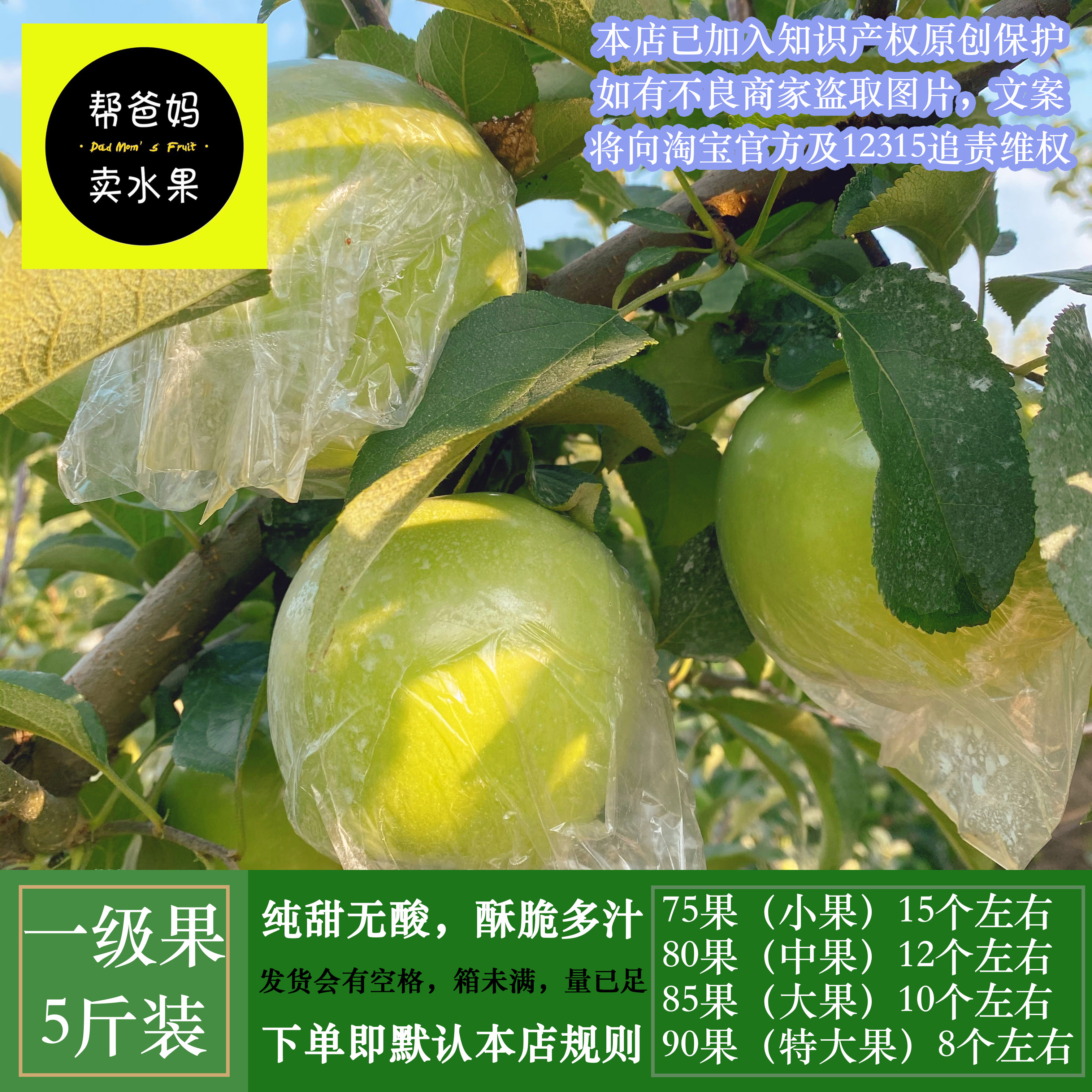 日本明月青森苹果帮爸妈卖水果