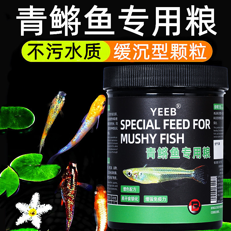 青鳉鱼饲料观背青鳉小型鱼弓背专用青将鱼鳉科观赏鱼缓沉型小鱼食