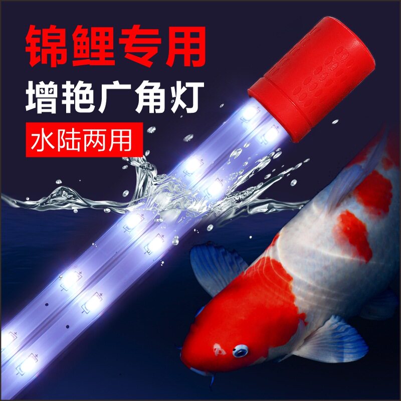 4AM玉鲭锦鲤增艳专用灯鱼缸灯防水广角水族箱照明灯管潜水透亮LED