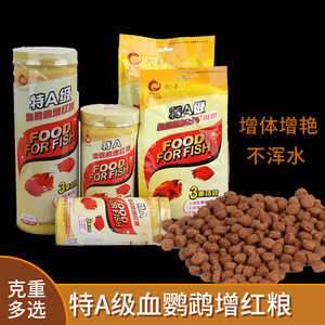 观赏颗粒型血鹦鹉壹品红
